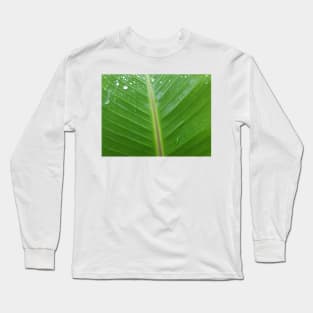 Green banana leaf vein with raindrops Long Sleeve T-Shirt